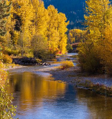 Golden River Through Tumwater Canyon