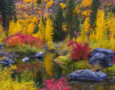 Autumn Color Reflected in Tumwater Canyon Brilliant yellow, red, and orange fall foliage surrounds a quiet pool in Tumwater Canyon near Leavenworth, Washington. Granite boulders and dark evergreens...