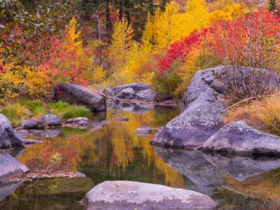 Tumwater Canyon River Autumn Calm A quiet pool along the Wenatchee River in Tumwater Canyon reflects brilliant autumn color, with golden larches and red and orange foliage surrounding smooth...