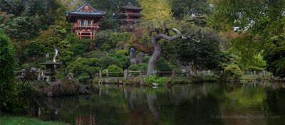 Japanese Tea Garden in Golden Gate Park A quiet pond reflects the layered greenery and traditional architecture of the Japanese Tea Garden in Golden Gate Park, San Francisco. Sculpted trees, stone...