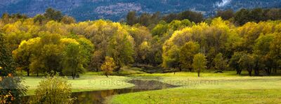River to the Trees A quiet waterway winds through a meadow beneath brilliant autumn trees near Hood River, Oregon. Layers of yellow and green foliage spread across the valley...