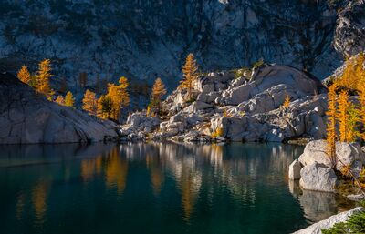 Golden Larches at Crystal Lake in the Enchantments Golden alpine larches glow against pale granite above the clear blue-green water of Crystal Lake in Washington’s Enchantments. The warm autumn trees and cool...