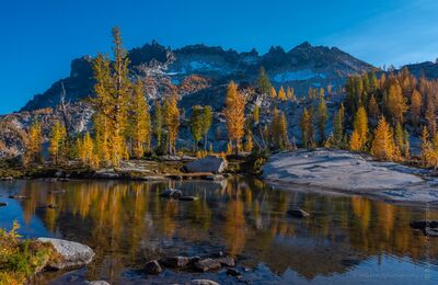 Golden Larches Reflected in the Enchantments Golden alpine larches line a quiet lake in Washington’s Enchantments, their autumn color reflected across the still water beneath rugged granite ridges. Cool...