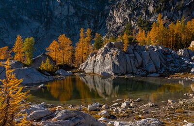 Golden Larches Reflected at Grail Tarn Golden alpine larches surround Grail Tarn in Washington’s Enchantments, their color reflected in the still water beneath steep granite walls. Warm autumn...