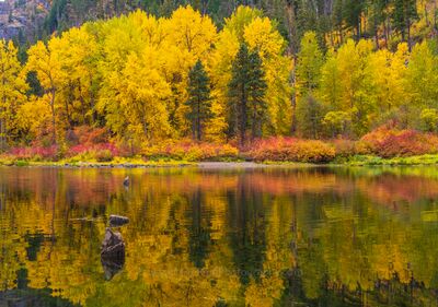 Northwest Fall Colors of the Season