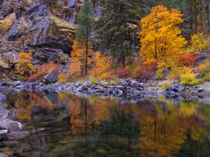 Leavenworth Tumwater Canyon Fall Colors Autumn transforms Tumwater Canyon near Leavenworth, Washington, into a landscape of brilliant red, orange, yellow and...