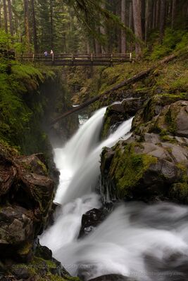 Sol Duc Falls and Bridge Water rushes through a narrow moss-covered gorge beneath the footbridge at Sol Duc Falls in Olympic National Park, Washington. The long exposure softens the...