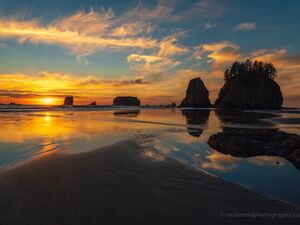Washington and Oregon Coast Photography