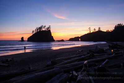 Second Beach Twilight and Driftwood Twilight settles over Second Beach on Washington’s Olympic Coast as the last pastel color fades behind the sea stacks. Driftwood fills the foreground while a...