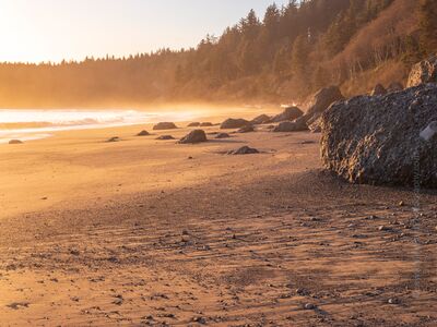 Washington Coast Third Beach Rocks