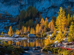 Enchantments Alpine Lakes Photography The Enchantments are the place I return to every year and one of my favorite landscapes to photograph anywhere. I’ve...