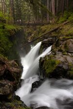 Sol Duc Falls and Forest Photography Sol Duc is one of the places in Olympic National Park where the walk is as rewarding as the destination. The trail winds...