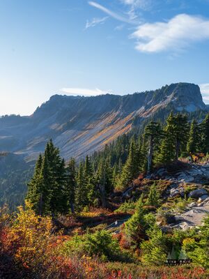 Autumn Colors Below Table Mountain at Artist Point Golden sunlight illuminates the rugged slopes and distinctive flat summit of Table Mountain near Artist Point in Washington's North Cascades. Brilliant red,...