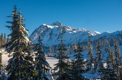 Shuksan and Picture Lake Fresh Snow.jpg