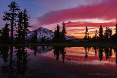 Mount Rainier Searing Skies Reflection A vivid red sunrise ignites the sky above Mount Rainier and a small seasonal alpine tarn near Pinnacle Saddle in Mount Rainier National Park, Washington. Bands...