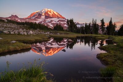 Spray Park Rainier Golden Glow Tarn