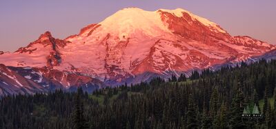Mount Rainier Fiery Sunrise Alpenglow from Sunrise Road Brilliant coral and pink sunrise alpenglow illuminates the immense glaciers and snow-covered summit of Mount Rainier, photographed from a beautiful viewpoint...