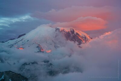 Mount Rainier Fiery Sunset and Lenticular Clouds from Fremont Lookout Brilliant pink and coral sunset light illuminates the dramatic lenticular clouds forming above Mount Rainier, photographed from Mount Fremont Lookout in the...