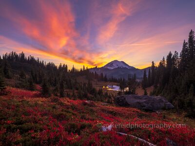 Autumn Sunset Over Mount Rainier and the Naches Peak Loop A spectacular autumn sunset fills the sky with brilliant shades of pink, orange, and violet above Mount Rainier in Washington State. Crimson-red fall foliage...