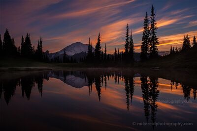 Almost Dark at Tipsoo Lake The last warm colors of sunset stretch across the evening sky above Mount Rainier, reflecting in the perfectly still waters of Tipsoo Lake near Chinook Pass,...