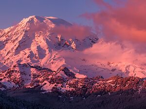 Mount Rainier Photography
