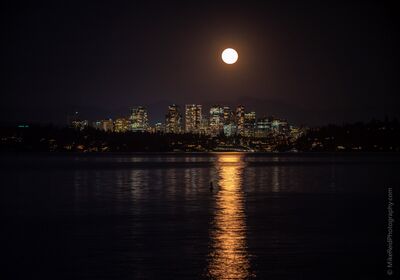Bellevue Skyline Full Moon A full moon rises above the illuminated Bellevue skyline, casting a bright reflection across Lake Washington. The city lights and moonlit water create a calm...