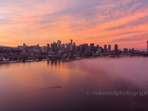 Seattle Skyline Aerial Photography