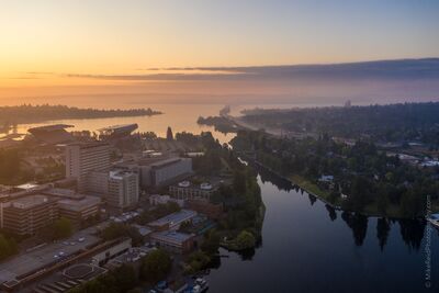 Foggy Dawn Over UW and the Montlake Cut A foggy dawn settles over Seattle’s University of Washington and Montlake neighborhood, with UW Medical Center in the foreground and the Montlake Cut leading...