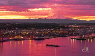 Mount Rainier Sunrise Over the Port of Seattle Mount Rainier glows beneath a vivid magenta and gold sunrise beyond Seattle’s working waterfront. This aerial view looks across Elliott Bay and the Port of...