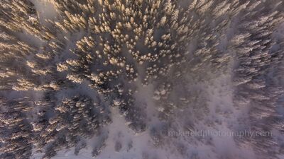 Northwest Aerial Photography Over Stevens Pass Misty Forest An ethereal aerial view above the misty snow-covered forests of Stevens Pass in Washington’s Cascade Mountains. Early morning light filters through the fog,...