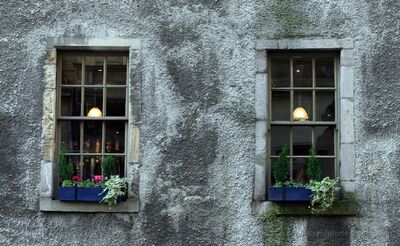 Pub windows