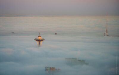 Space Needle Rising Above Seattle Fog The Space Needle rises above a dense layer of morning fog covering Seattle, with only a few towers and antennas breaking through the clouds. Photographed from...