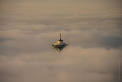 Space Needle Emerging Through Seattle Fog The Space Needle emerges almost alone from a dense layer of morning fog, with only the upper structure visible above the clouds. Photographed from Seattle’s Sky...
