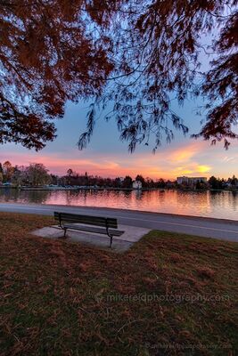 Green Lake Bench at Sunrise in Seattle A quiet bench overlooks Green Lake at sunrise in Seattle as soft pink and golden light reflects across the calm water. Framed by overhanging branches and the...