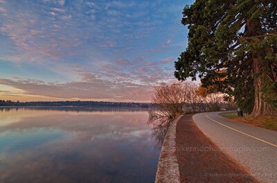 Greenlake Dusk Path