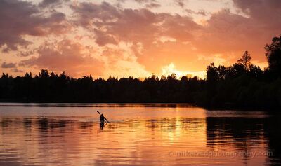 Green Lake Kayaker at Sunset in Seattle A lone kayaker paddles across Green Lake in Seattle beneath a brilliant orange sunset. Warm light reflects across the water while the dark shoreline and glowing...