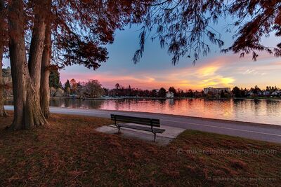 Green Lake Sunrise Bench in Seattle A quiet bench overlooks Green Lake in Seattle beneath soft overhanging branches as pastel sunrise color spreads across the sky and reflects in the water. The...