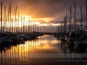 Seattle Shilshole Marina Photography
