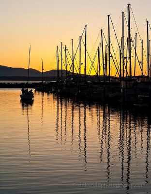Coming in Shilshole Sunset Sailboat returning to Shilshole Bay Marina at sunset in Seattle, with golden sky, silhouetted masts, and calm reflective water glowing in evening light.