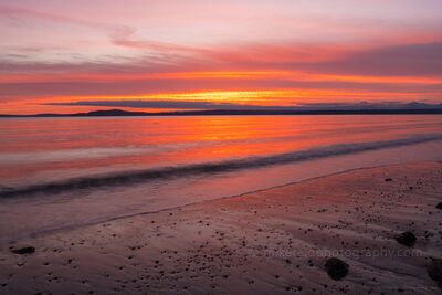 Puget Sound Beach Reflection Sunset Fire Brilliant orange and pink sunset over the Puget Sound, viewed from a quiet beach in Magnolia, Seattle, with gentle waves and glowing reflections on the sand.