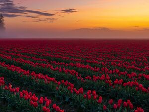 Fine Art Landscape Photography and Prints by Mike Reid
